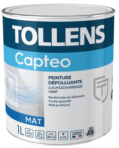 CAPTEO MAT DEPOLLUANTE